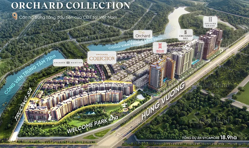 Tổng thể dự án Sycamore và bản đồ liên kết vùng của cho phân khu căn hộ Orchard Collection