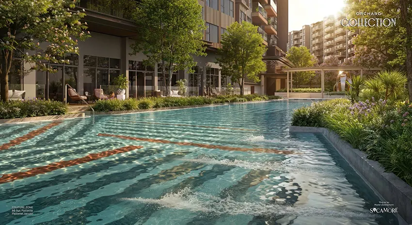 Tiện ích hồ bơi, jacuzzi trong dự án Orchard Collection Sycamore tại Bình Dương